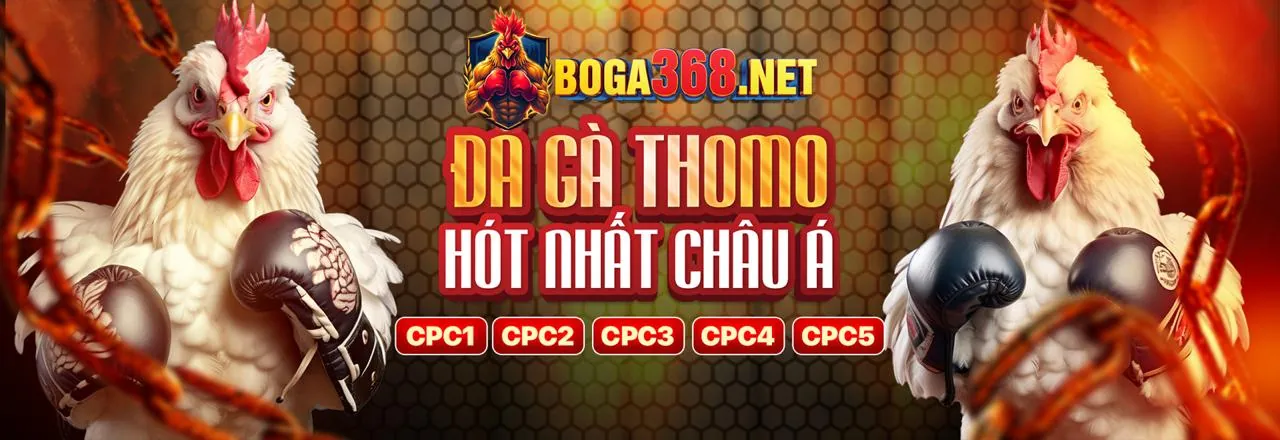 Chương trình hoàn trả hàng tuần và thưởng nạp lại tại ld789.
